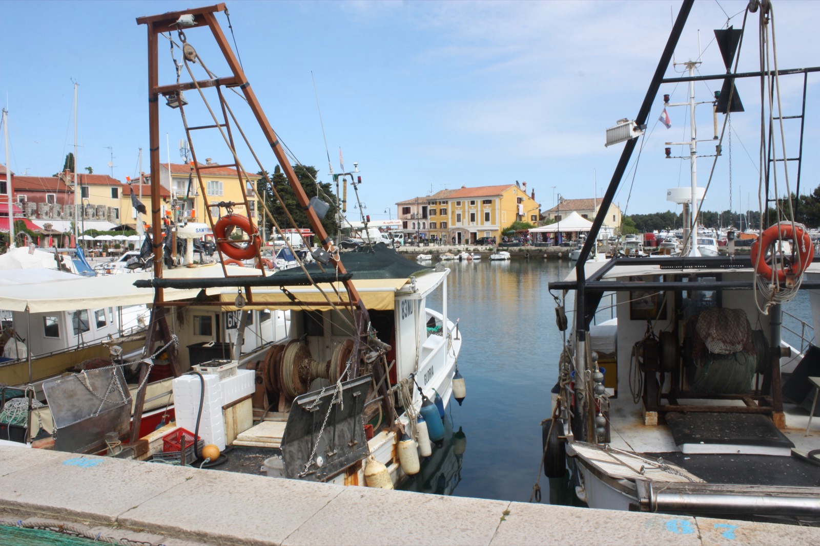 Novigrad