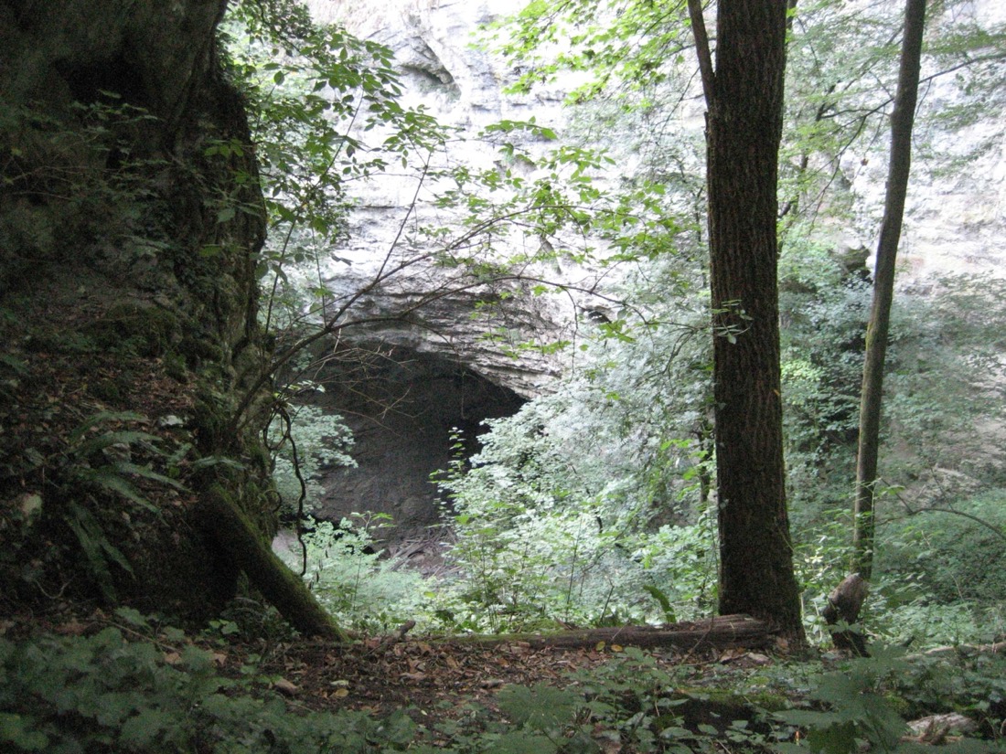 Schlucht von Pazin (Pazinska jama)
