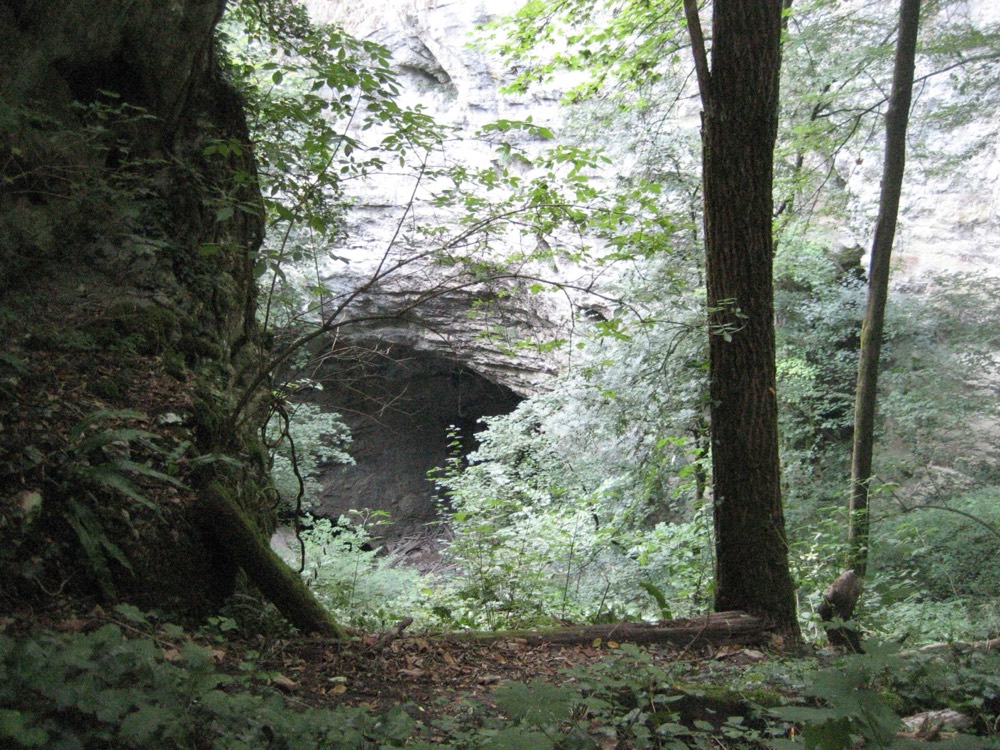 Zip-Line über die Pazin-Schlucht